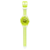Jaune d’œuf