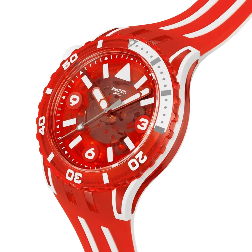 Lion's Mane