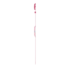 Rose éclatant